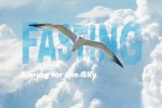 FastingProgress Report - Shaun